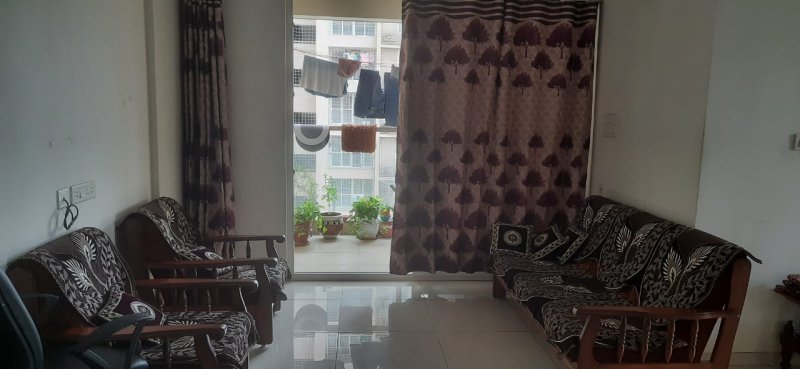 Pacifica Reflections