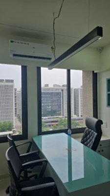 Money Plant High Street