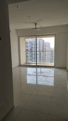 Pacifica Reflections